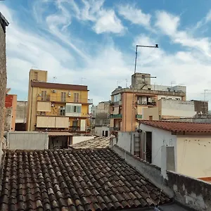 Citrus Syracuse